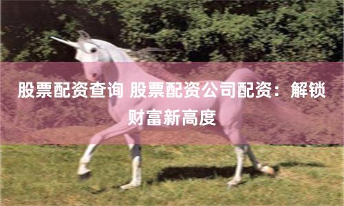 股票配资查询 股票配资公司配资：解锁财富新高度