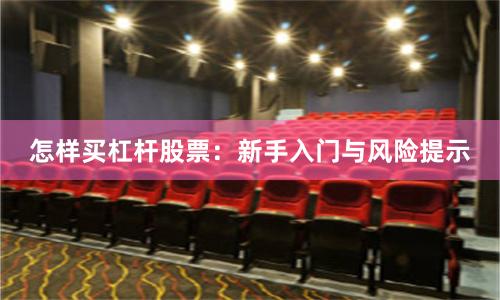 怎样买杠杆股票：新手入门与风险提示