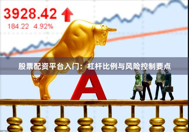 股票配资平台入门：杠杆比例与风险控制要点